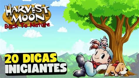 harvest moon back to nature dicas